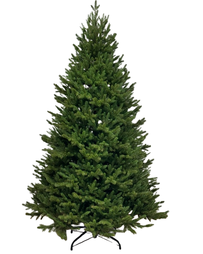 Árvore de Natal Tradicional